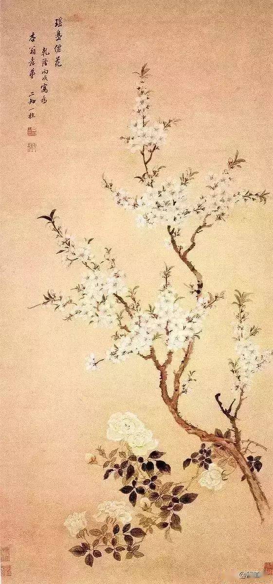 历代名家画桃花合集——灼灼桃花,绝美诗画,与君共赏!-搜狐大视野-搜狐新闻