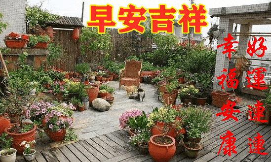 2021113星期三《早安心语》∮