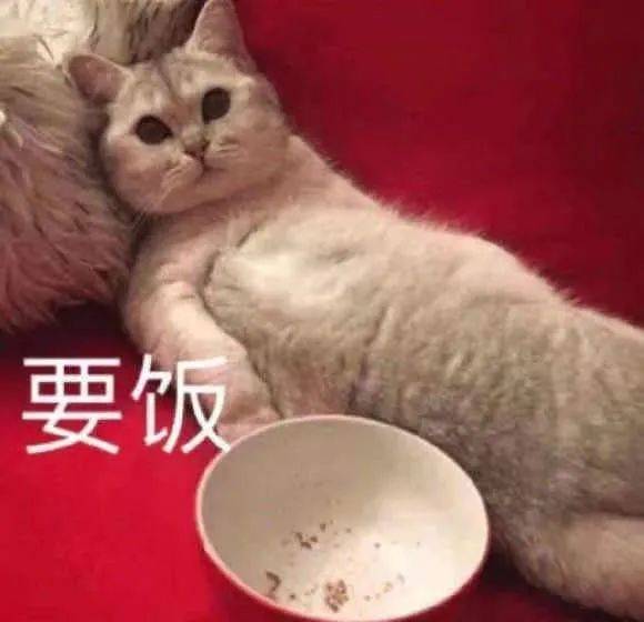有人收闲置宝贝吗 反正我闲着也是闲着