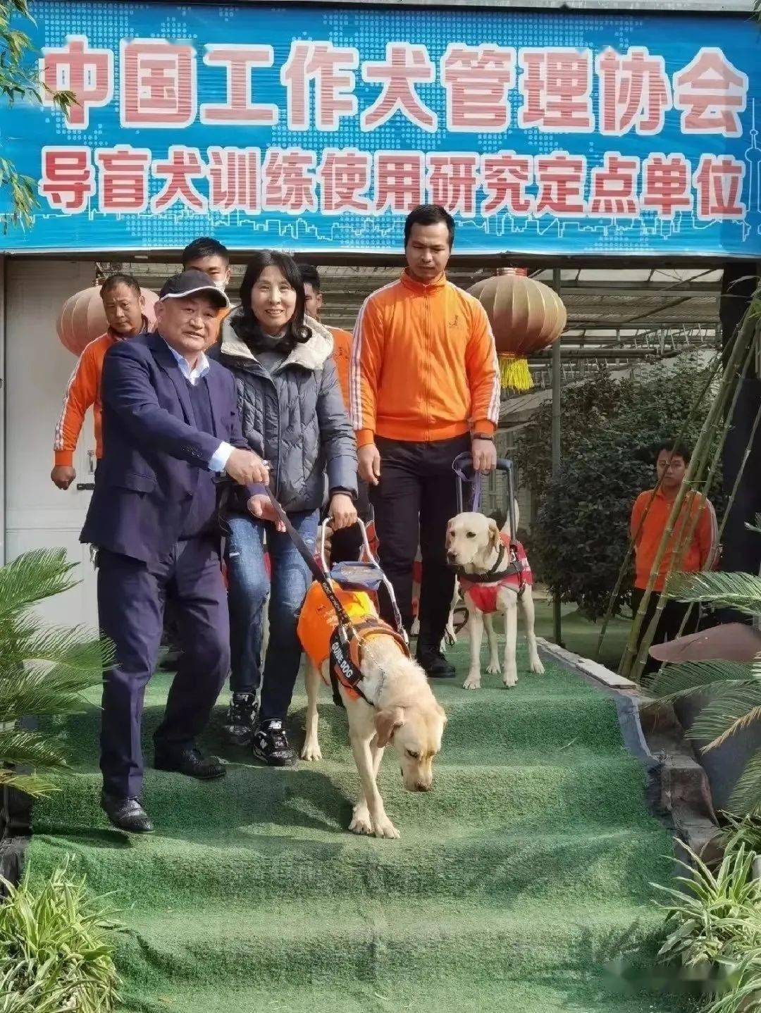 犬司令 孙龙根 助残帮困送光明 小麦