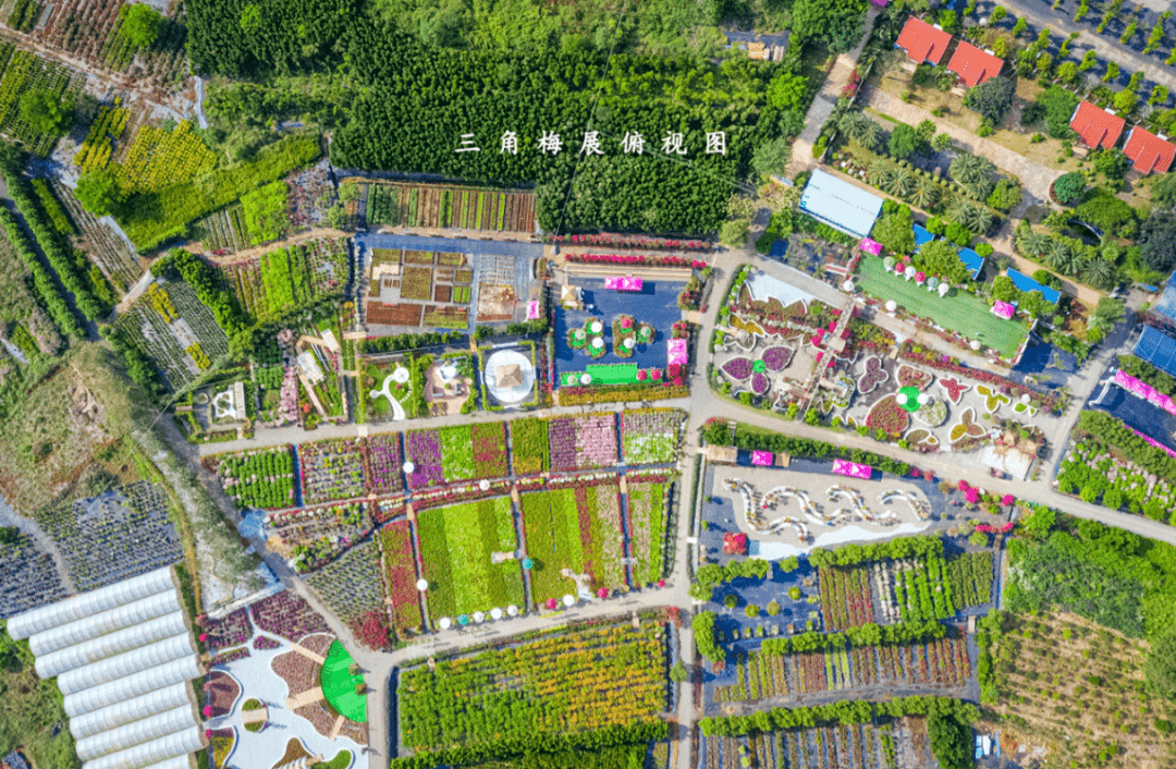 海口红旗镇gdp_海口红旗镇规划图(3)