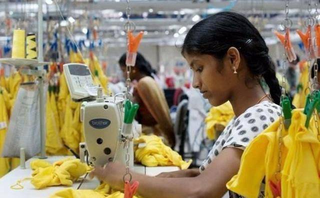 2019孟买gdp_孟买猫