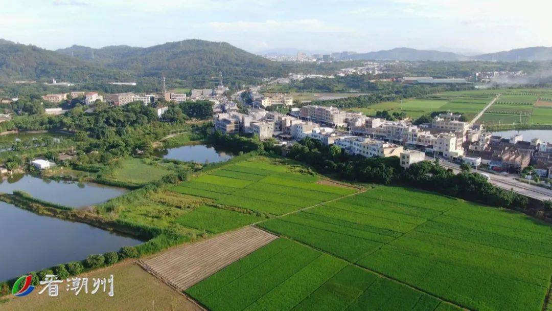 联饶镇下饶村人口_饶平县联饶镇地图