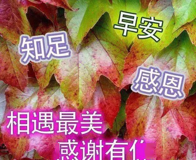 大家早上好,感恩有你,友谊万岁!