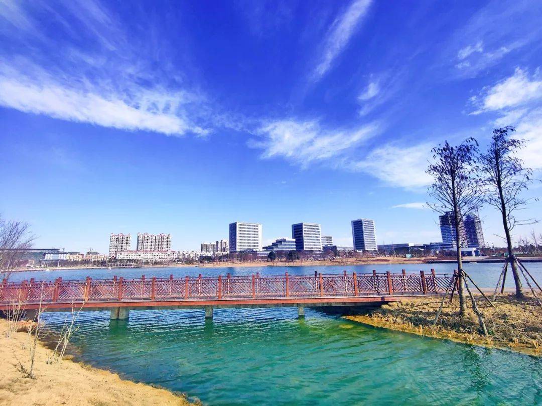 新区的星海湖公园