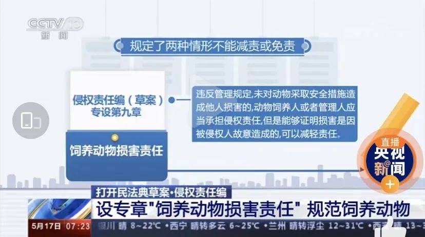 宠物狗的排行_盘点|宠物行业的65个年度热搜瞬间