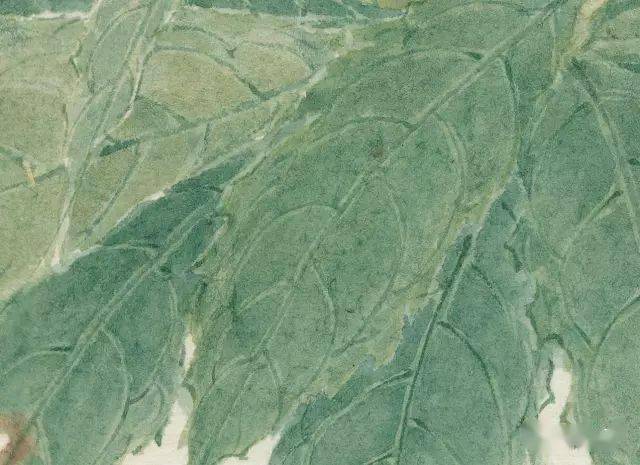 熟地黄的作用和功效是什么意思 d36532c377304f249cdf3d022827b337.jpeg