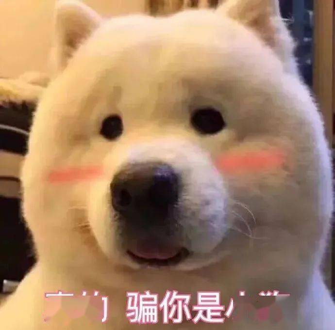 聊天搞笑图片 | "生活嘛,笑一笑就好了"