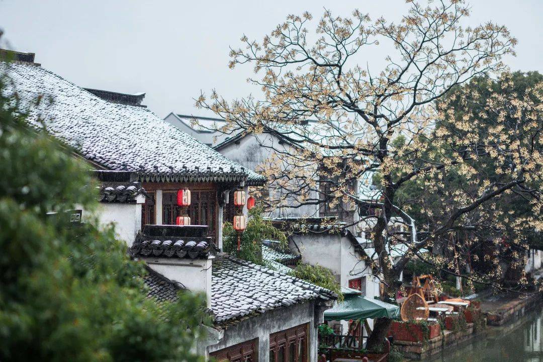 03 观一场冬日美景  虽然江南的冬天 已少有雪花纷飞的时日 但还是