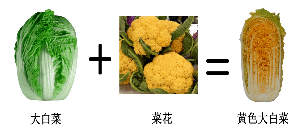 2880a94ca186430abacf1a4407c9e817.png