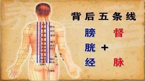 去美容院做这些项目,准没错