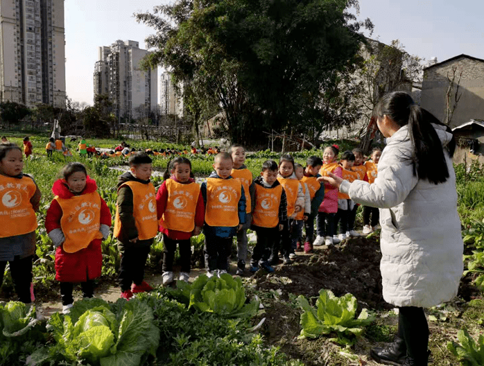 可爱!爱儿篮二分园走进蔬菜园,萌孩子开启学习体验模式!