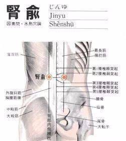 人体常见50个穴位位置,作用,按摩手法,图文取穴,纯干货