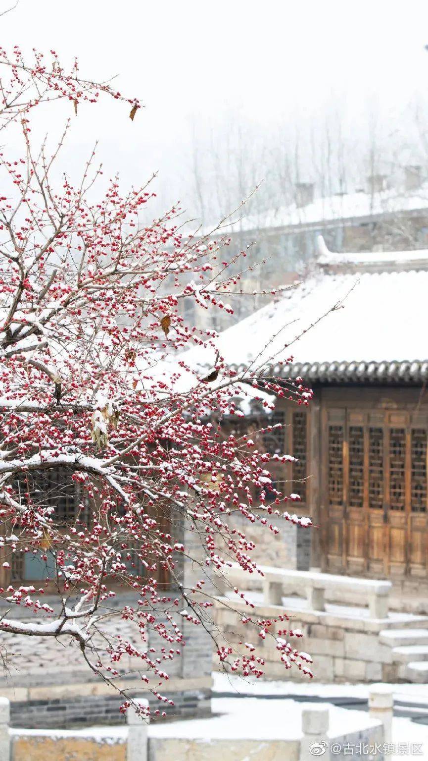 55张高清雪景图,带你看今日份浪漫!