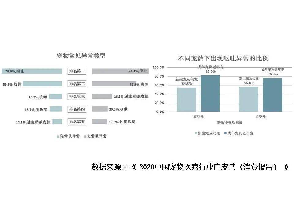 数据告诉你 养宠人群如何选择宠物医院?