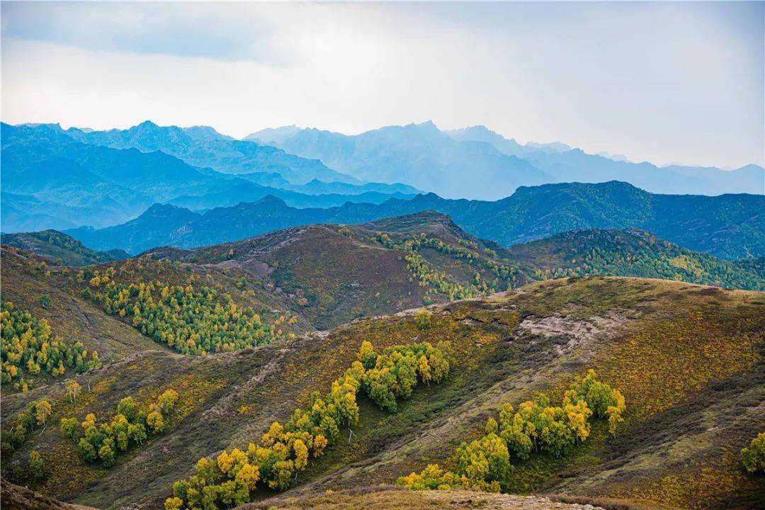 《巍巍青山》《雾锁笔架山》返回搜狐,查看更多