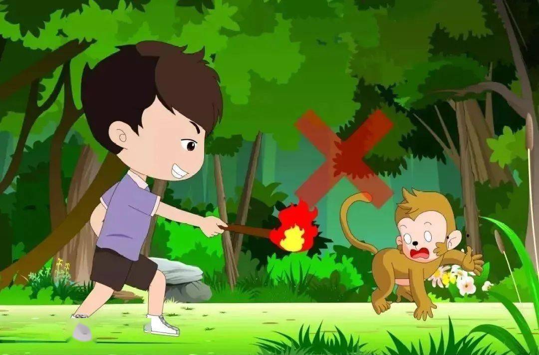 森林防灭火进行时丨森林防火小知识