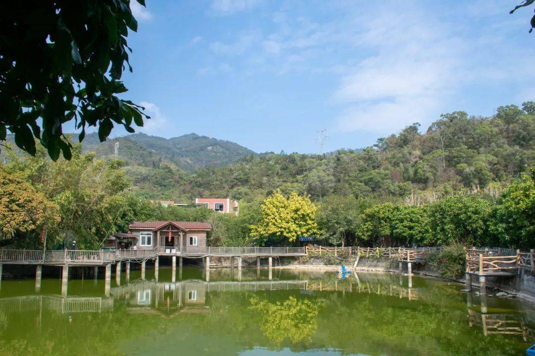 春节约起来吧天竺山农家乐大合集都在这里静享山中宁静又能体验独特的