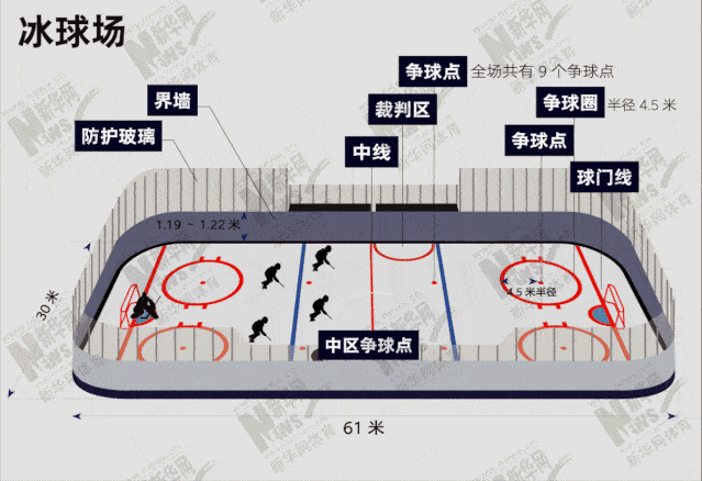 图解北京冬奥项目| 冰球,激烈对抗的冰上曲棍球