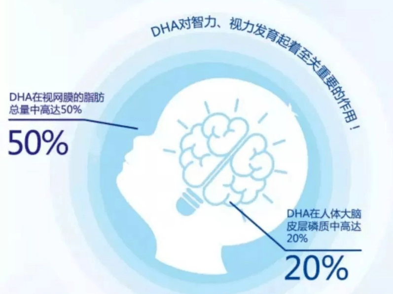 dha到底该不该补