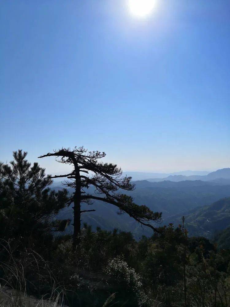 玩乐大田人攀登狗头山