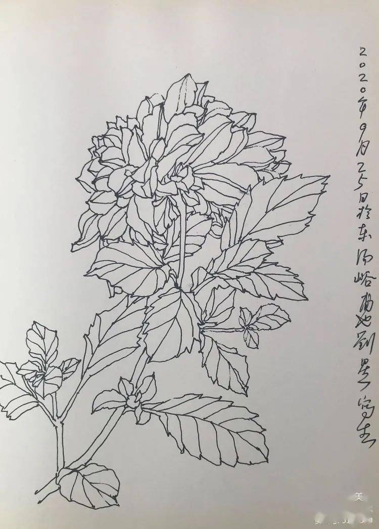 《大丽菊《牵牛花《牵牛花《大丽菊《农家院子的土坎坎》