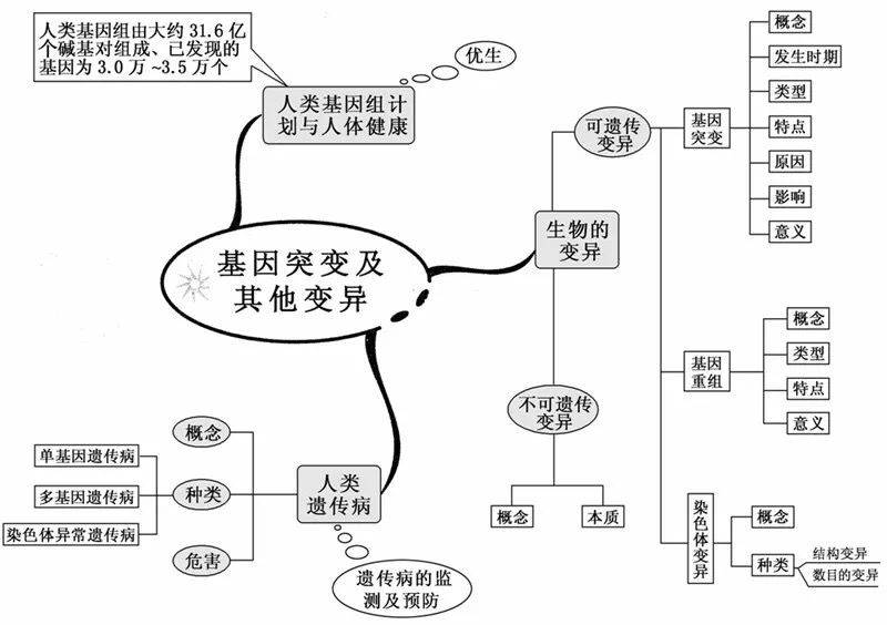 20张初中生物思维导图最全版本!