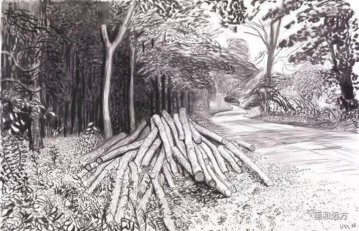回归素描的美感——大卫·霍克尼素描风景作品