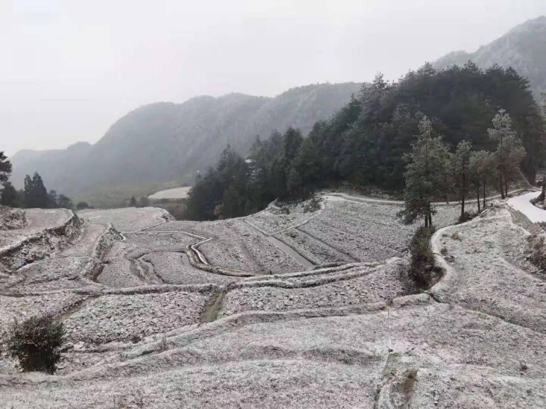 泰顺老鹰岩村随便拍拍都美