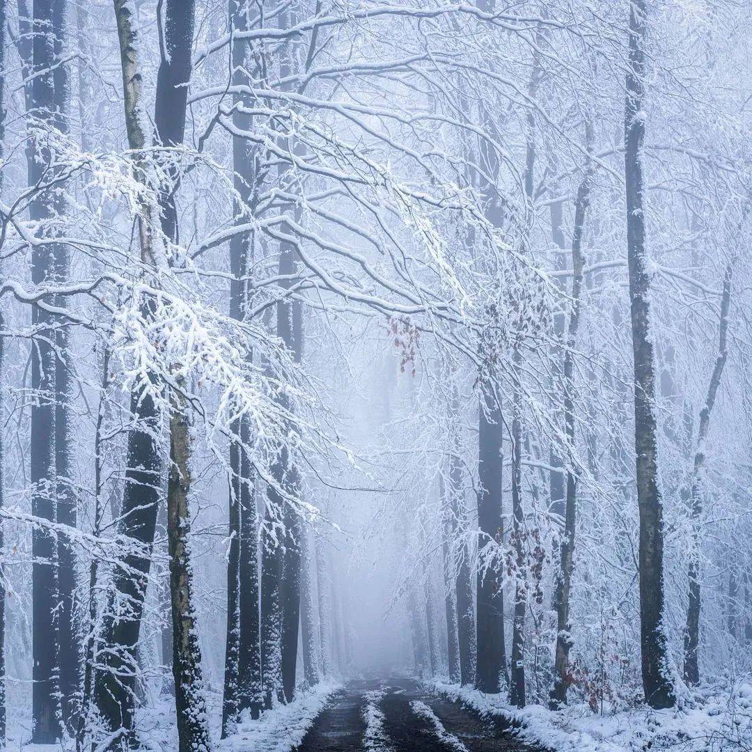 让世界安静一会是雪的使命100张最美的冰天雪地