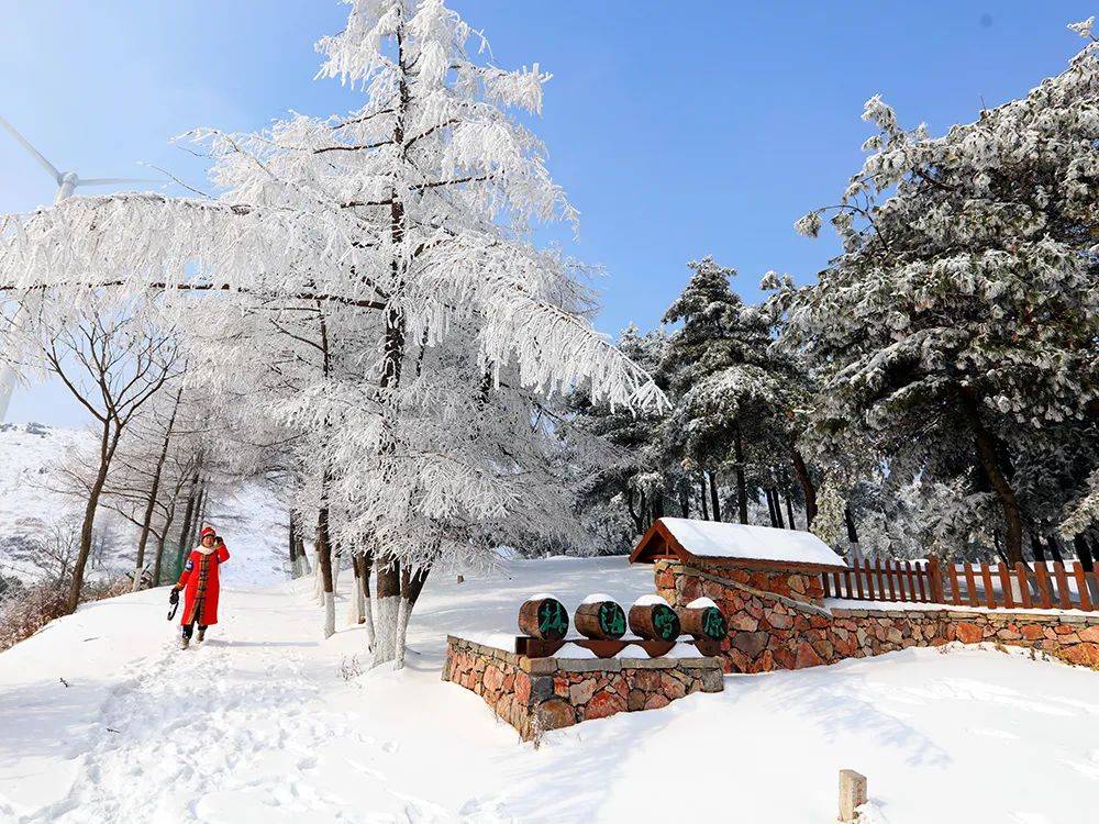 湖北百里荒,冬日草原雪景醉游人