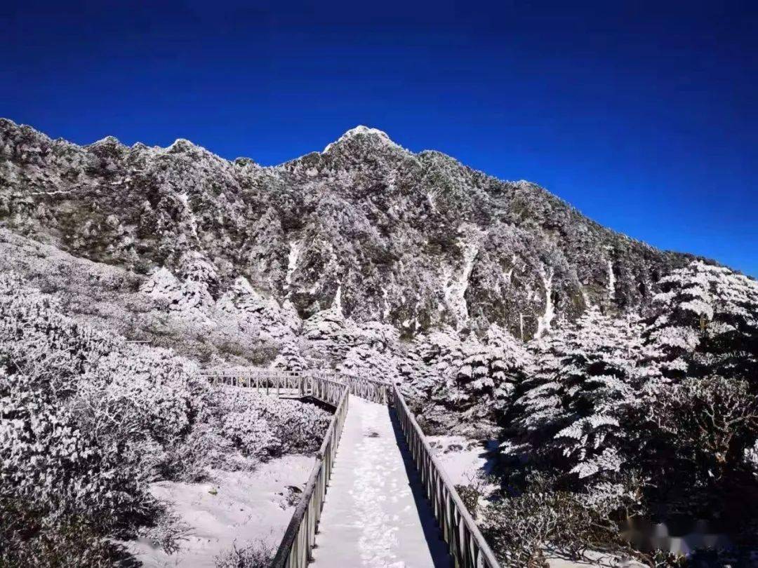 美了大理苍山一夜白头你要的苍山雪来了图视频