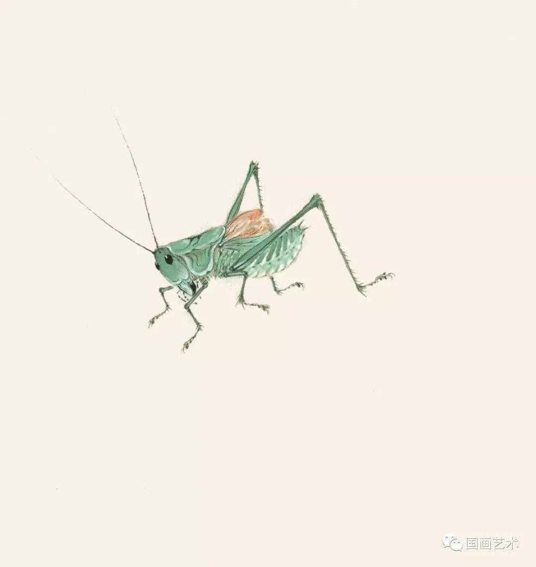 鸣虫蝈蝈蟋蟀油葫芦画法示范