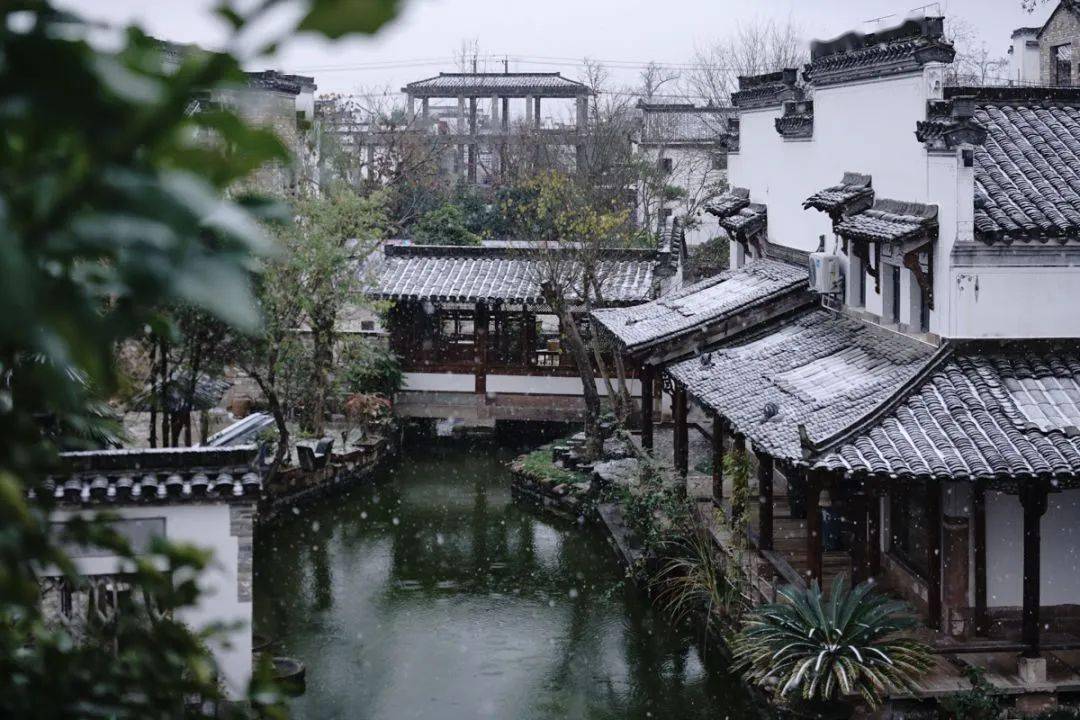 有一天早上,倪九和妻子又呼喊隔壁的母亲做饭,两个人不愿起身.