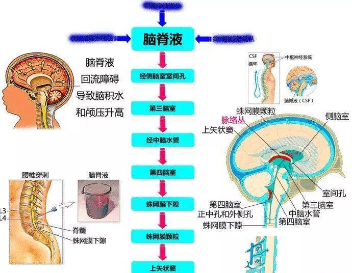 神经病变时瞳孔对光的反射