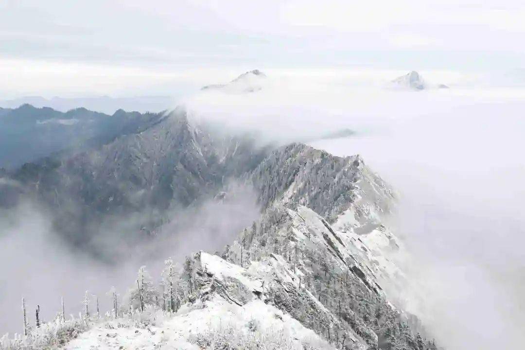 冬日唐家河,和你邂逅的不只是美景~_手机搜狐网