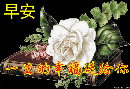 1月24日周末微信群发早上问候表情动态图片,特漂亮的