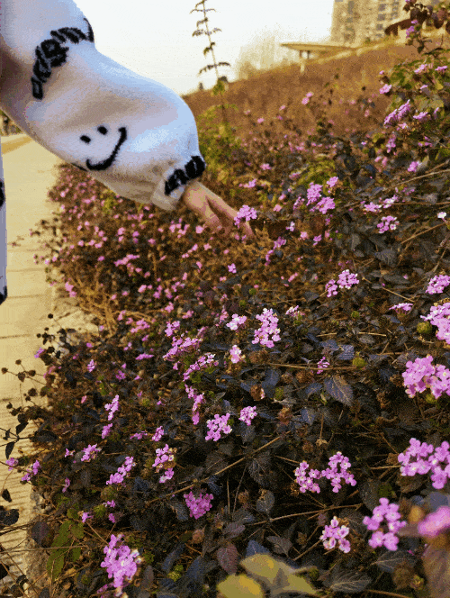 500_664 竖版 竖屏