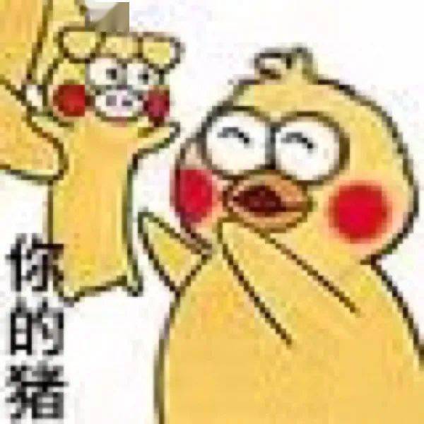 鹦鹉兄弟表情包