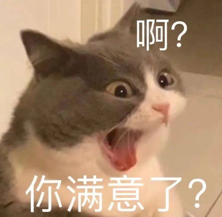 满脸写着高兴表情包