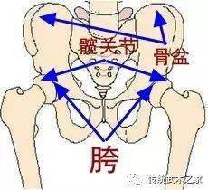 67拳经分享松胯的作用是什么松胯是什么感觉