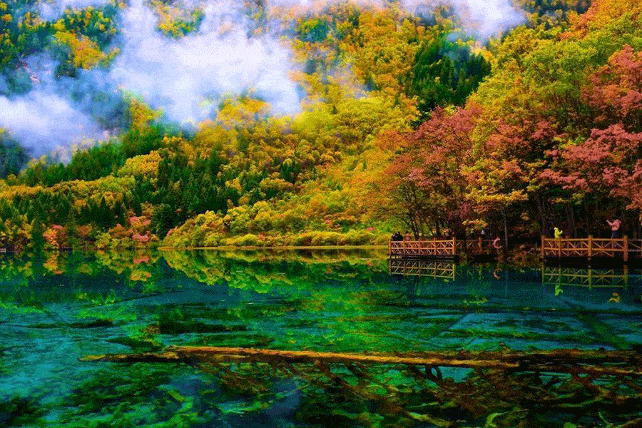 【云游四方】云游西南典藏之——九寨沟