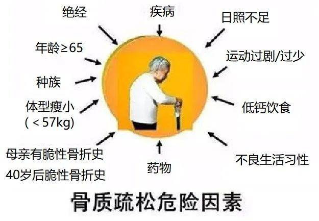 关注骨质疏松症关注老年髋部脆性骨折