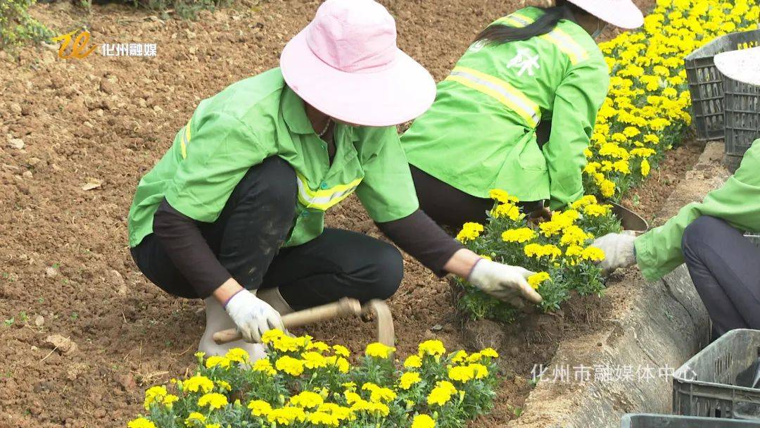 园林工人栽花布景扮靓城市迎春节