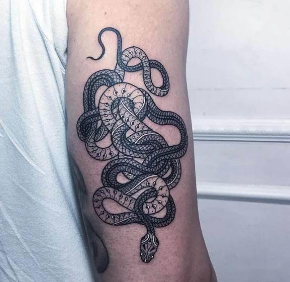 tattoo纹身素材蛇