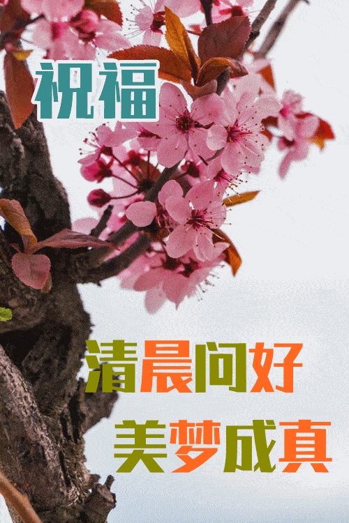 1月29日最漂亮早上好动态表情图片大全,早晨好动图美图大全