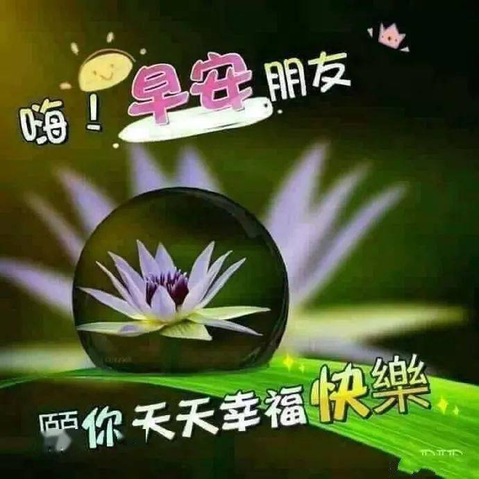 1月30日早上好祝福动态表情图片送给好朋友微信暖心聊天早上好问候