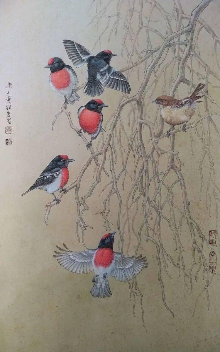 陈松岩教授工笔白孔雀牡丹技法班2月21日开课