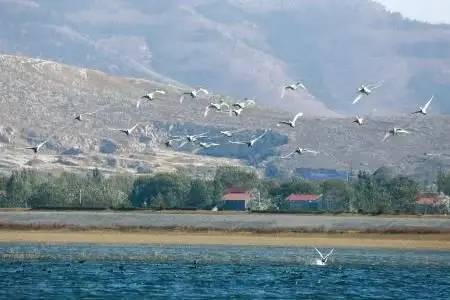 投资23亿淮北再添生态旅游胜地含无动力乐园湿地花海景观滨水廊道