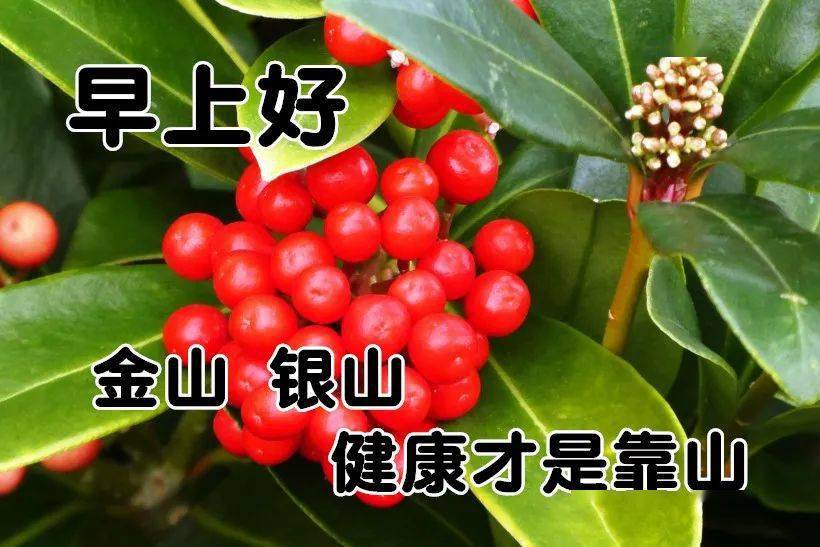 1月30日最漂亮早上好动态表情图片大全早上好动图美图大全
